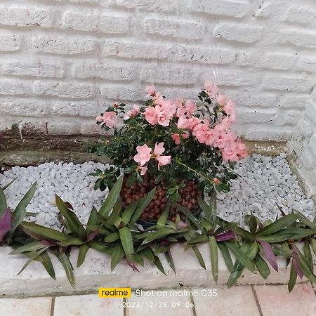 Pousada Sol Nascente بيبيريبي المظهر الخارجي الصورة
